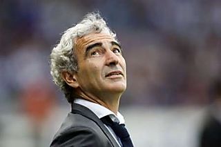 2008-06-01T073012Z_01_NOOTR_RTRIDSP_2_OFRSP-FOOTBALL-EURO-FRANCE-DOMENECH-20080601