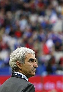 2008-06-04T055618Z_01_NOOTR_RTRIDSP_2_OFRSP-FOOTBALL-EURO-FRANCE-DOMENECH-20080604