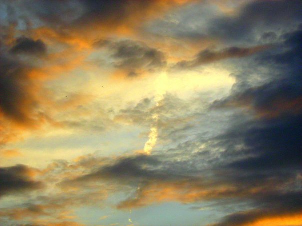N1431738009_30239015_6398