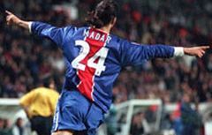 Madar2
