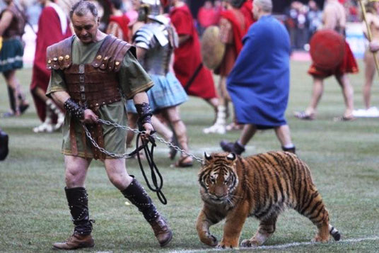 090131_tigre