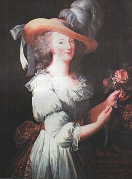 Marie-antoinette-rose