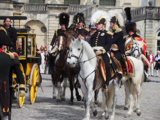 Bicentenaine des Adieux de Napoleon  Fontainebleau 18