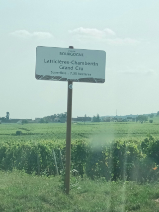 456254897_1273579424016978_784829669010812906_n